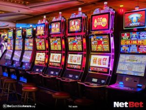bra|Plataforma de Cassino com Versão Mobile – Baixe o App